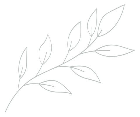 Врожай фісташки Калі Гуччі